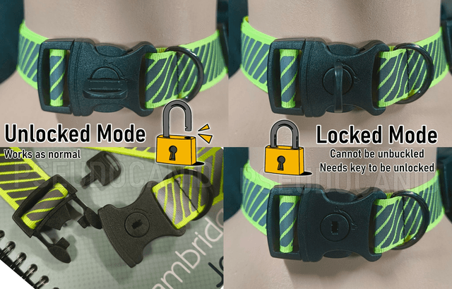 Locking Collar